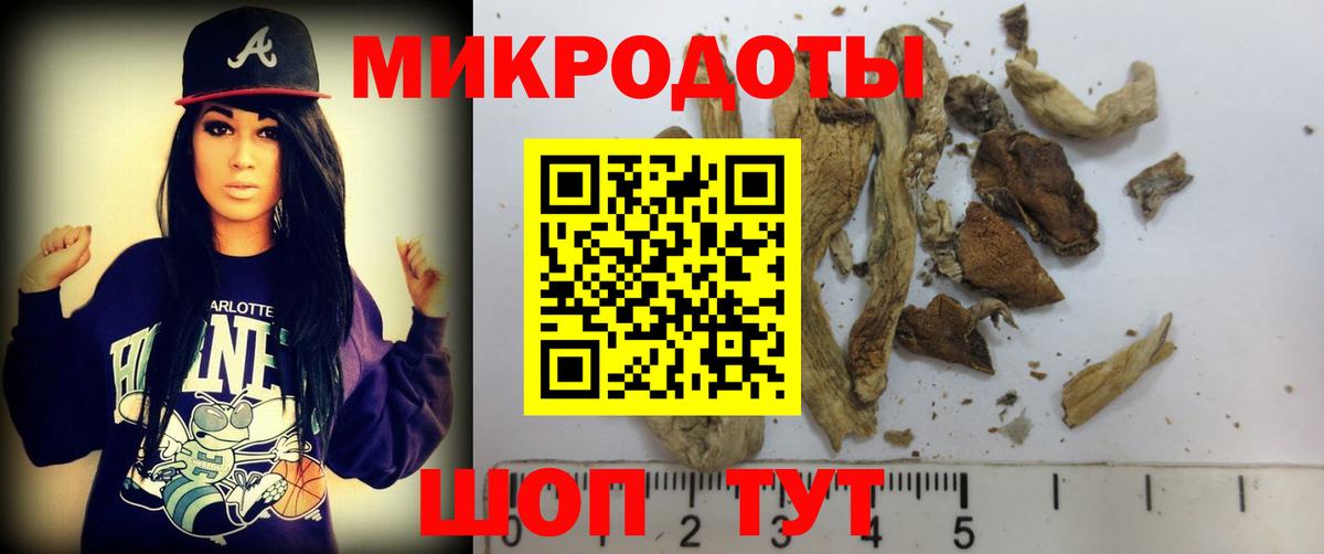Псилоцибиновые грибы MAGIC MUSHROOMS Всеволожск