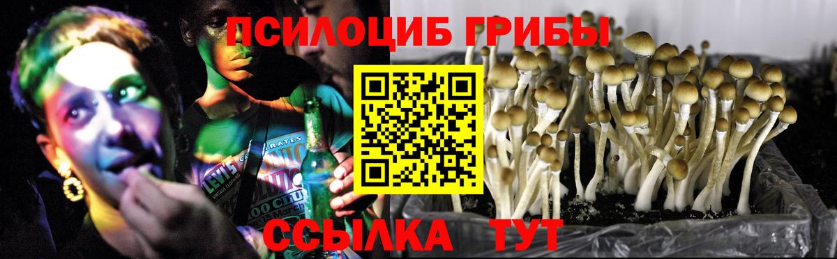 наркошоп  Вход с VPN  Всеволожск  Псилоцибиновые грибы мухоморы 